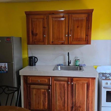 Wizzy Apartment White River Ocho Rios Eksteriør bilde